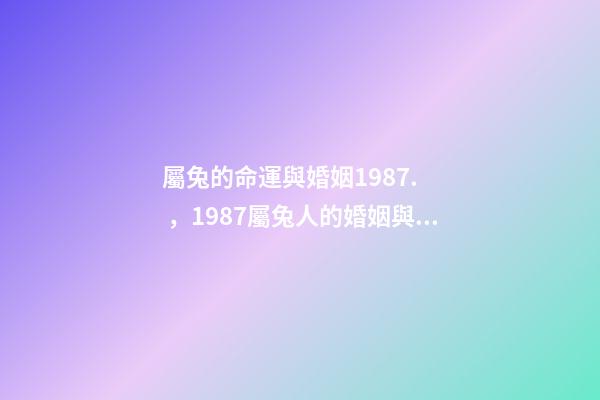 屬兔的命運與婚姻1987.，1987屬兔人的婚姻與命運如何 87年屬兔35歲2022婚姻-第1張-觀點-玄機派